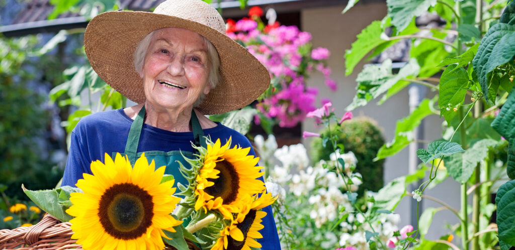 Older woman with sun hat gardening in a Dementia Friendly Community Garden.